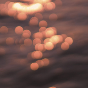 成人短篇H小说500篇淑芬
